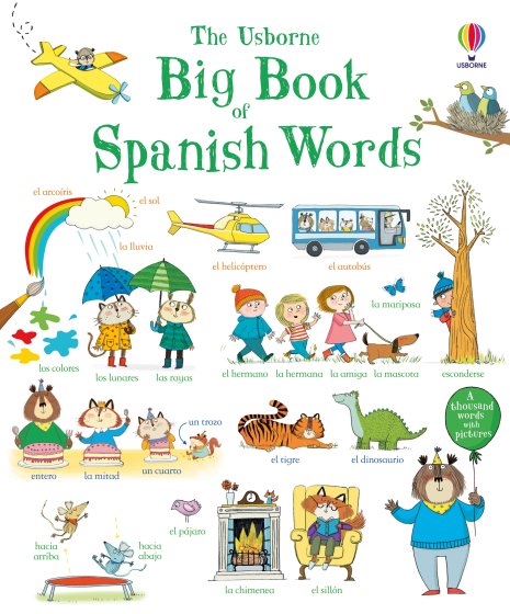 Big Book of Spanish Words book cover