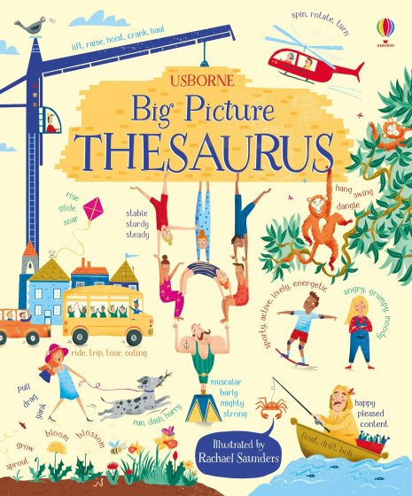 Big Picture Thesaurus book cover
