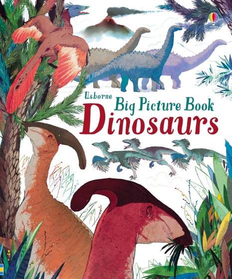 Big Picture Book Dinosaurs book cover