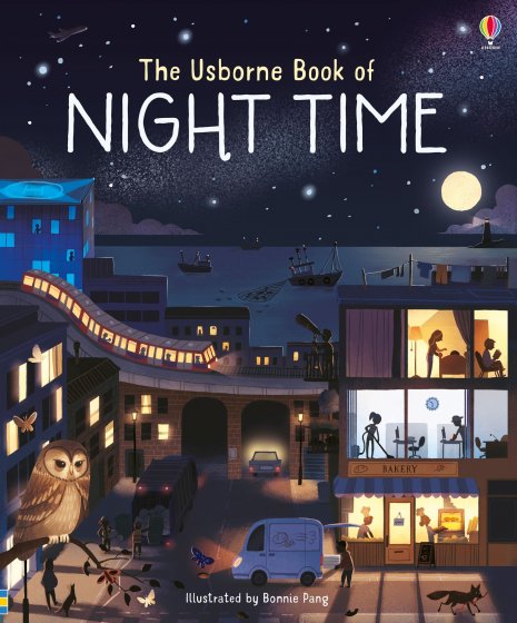 Usborne Book of Night Time book cover