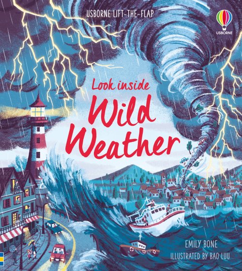 Look Inside Wild Weather book cover