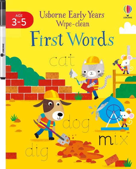 Early Years Wipe-Clean First Words book cover