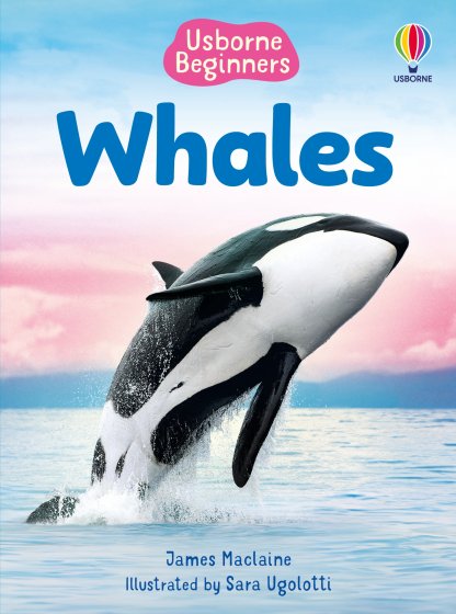 Beginners Whales book cover