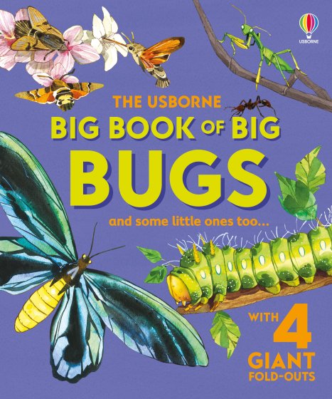 Big Book of Big Bugs book cover