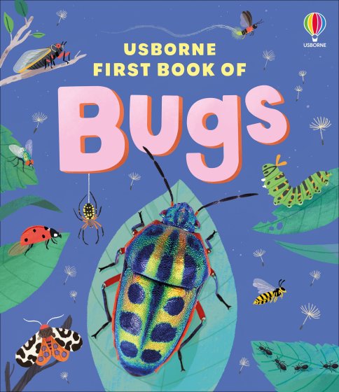 The Usborne First Book of Bugs book cover