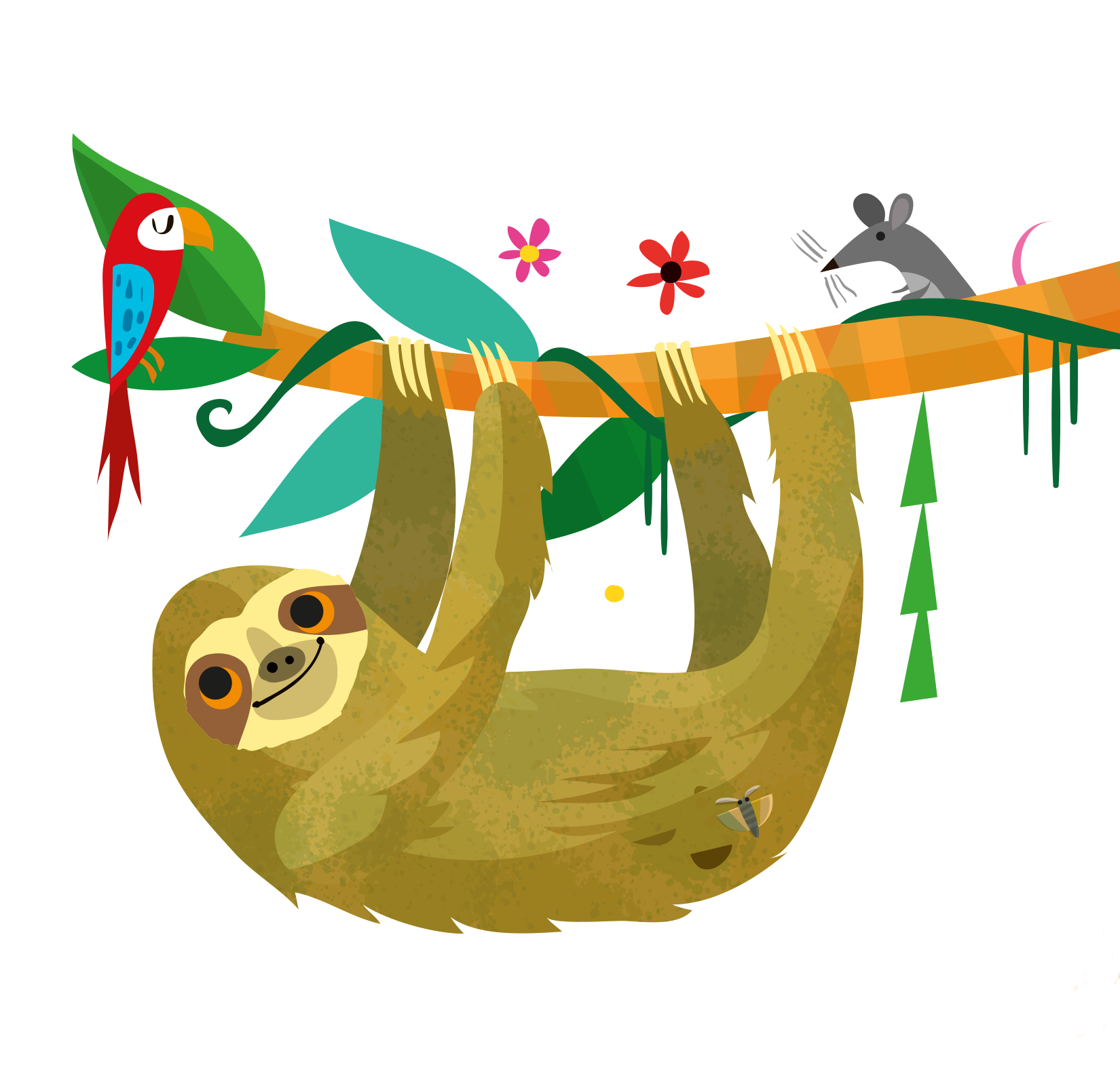 Face-to-face with a baby sloth | Usborne | Be Curious