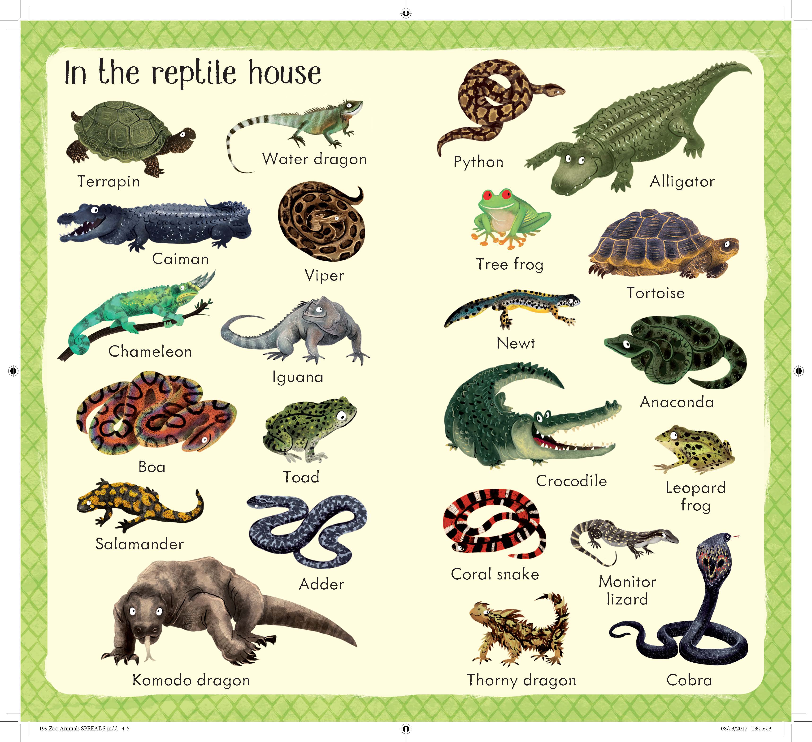 199 Zoo Animals | Usborne | Be Curious