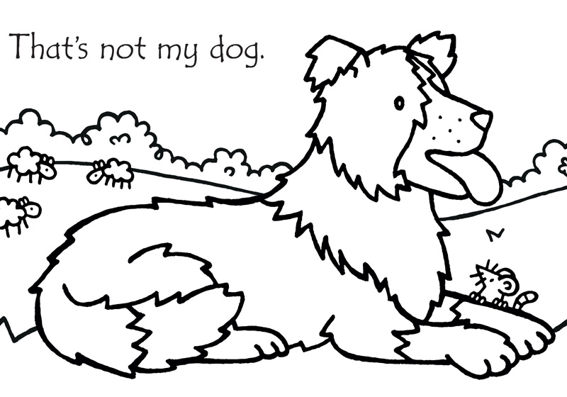 That's not my dog... | Usborne | Be Curious