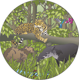 World of Animals | Usborne Quicklinks | Be Curious