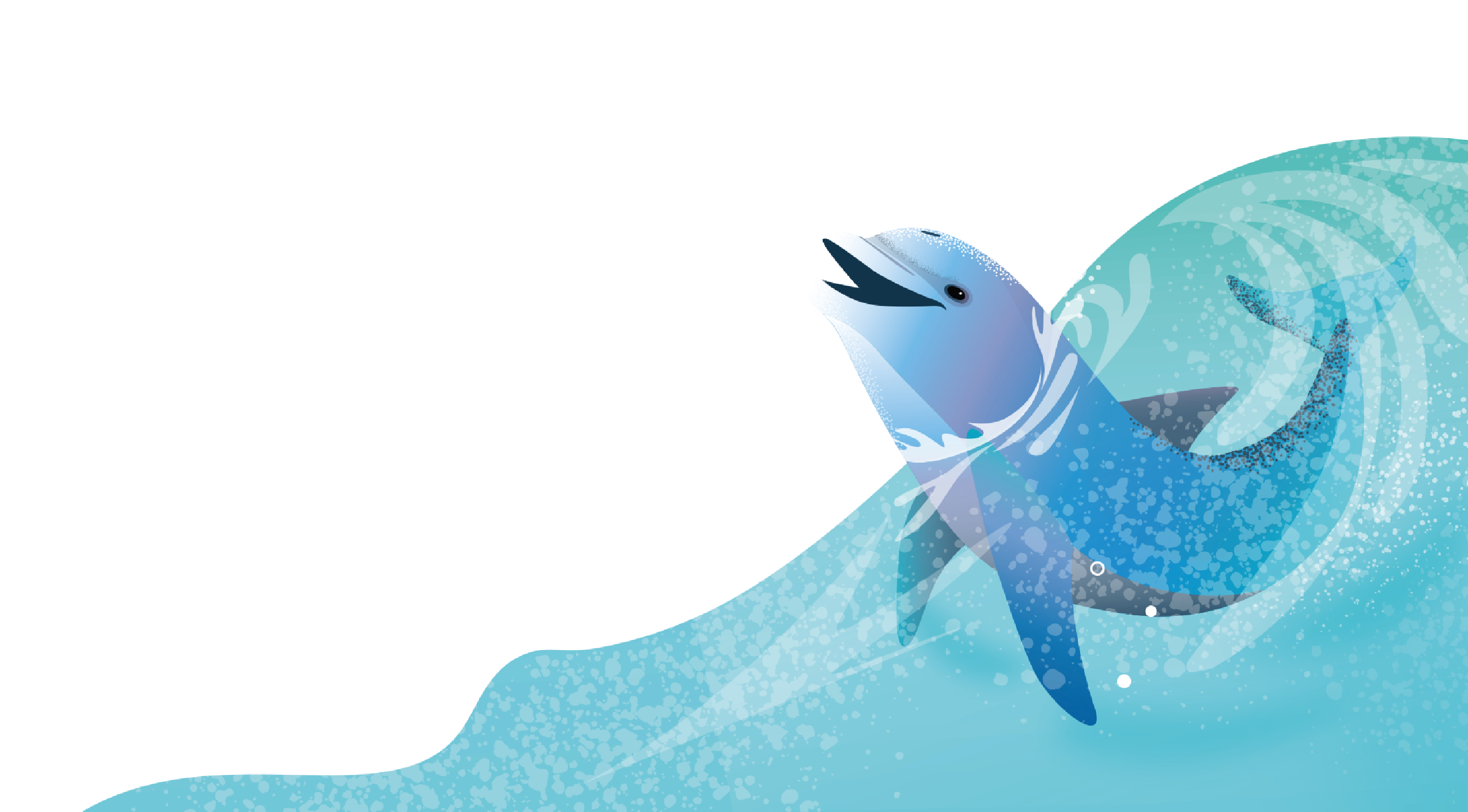 Meet some bottlenose dolphins