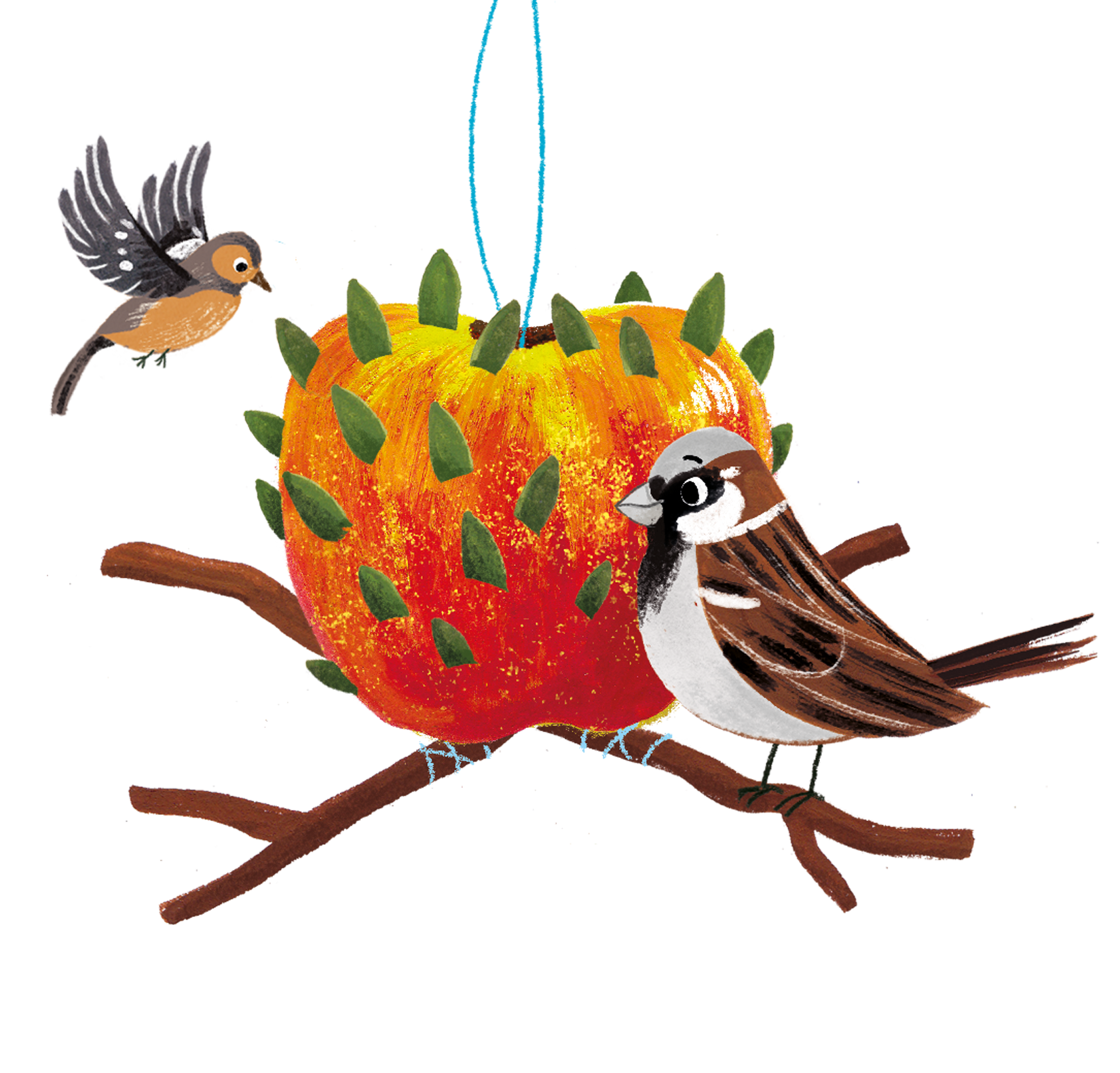 feed-the-birds-usborne-be-curious