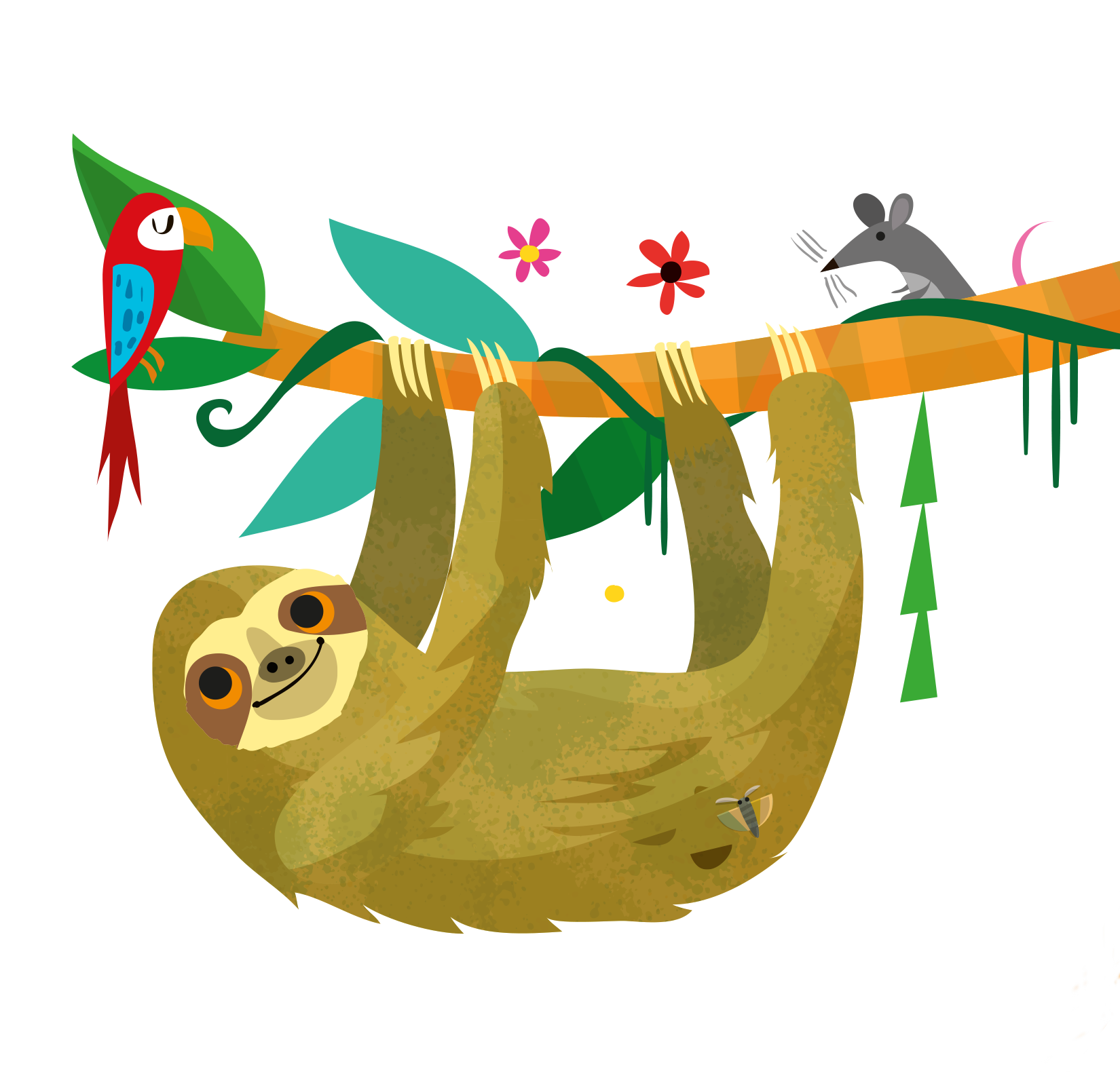 face-to-face-with-a-baby-sloth-usborne-be-curious