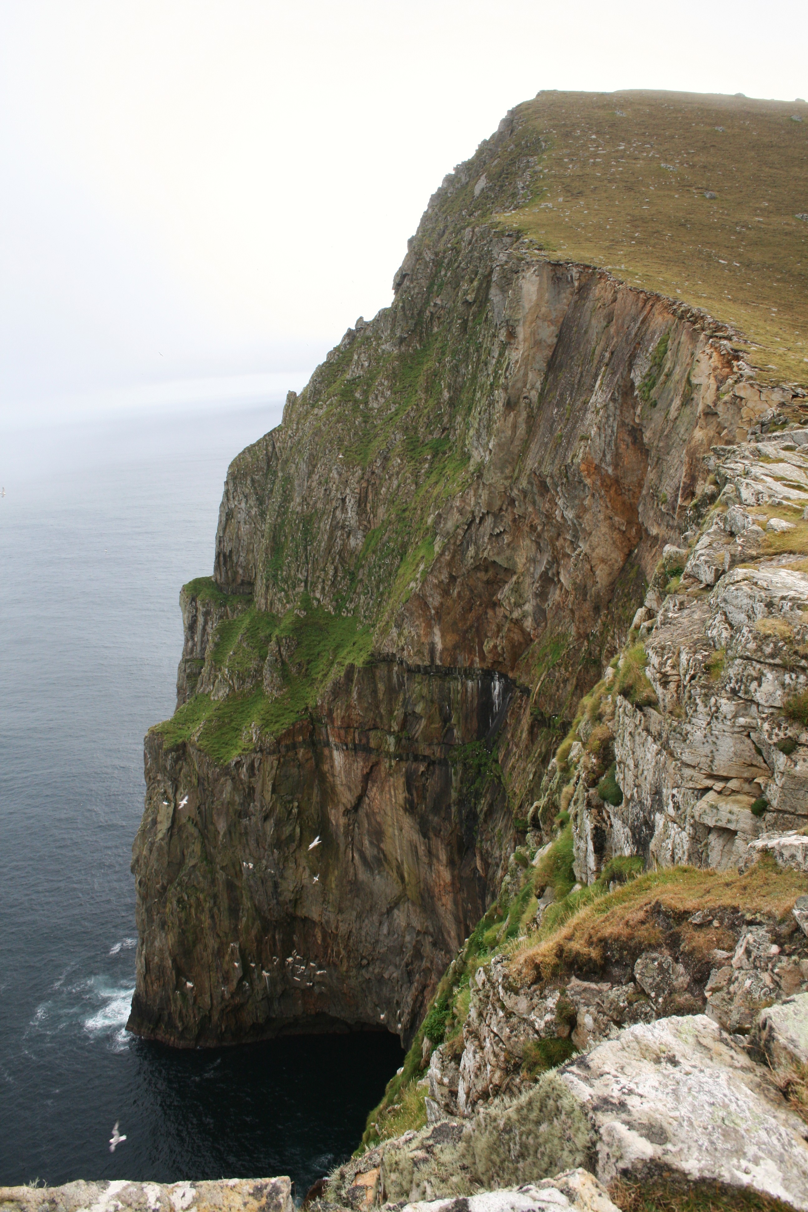 A stac in St Kilda. Image credit: Andrew Gourley