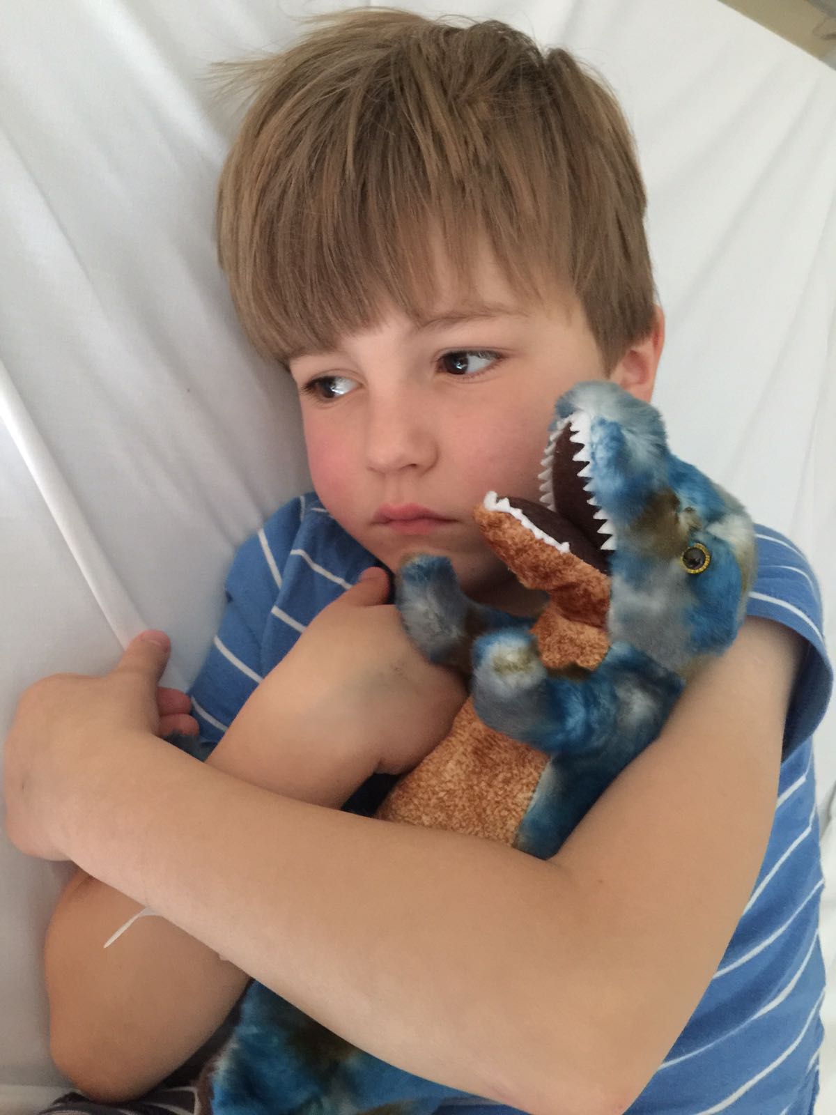 Josh feeling poorly, with his favourite dinosaur toy