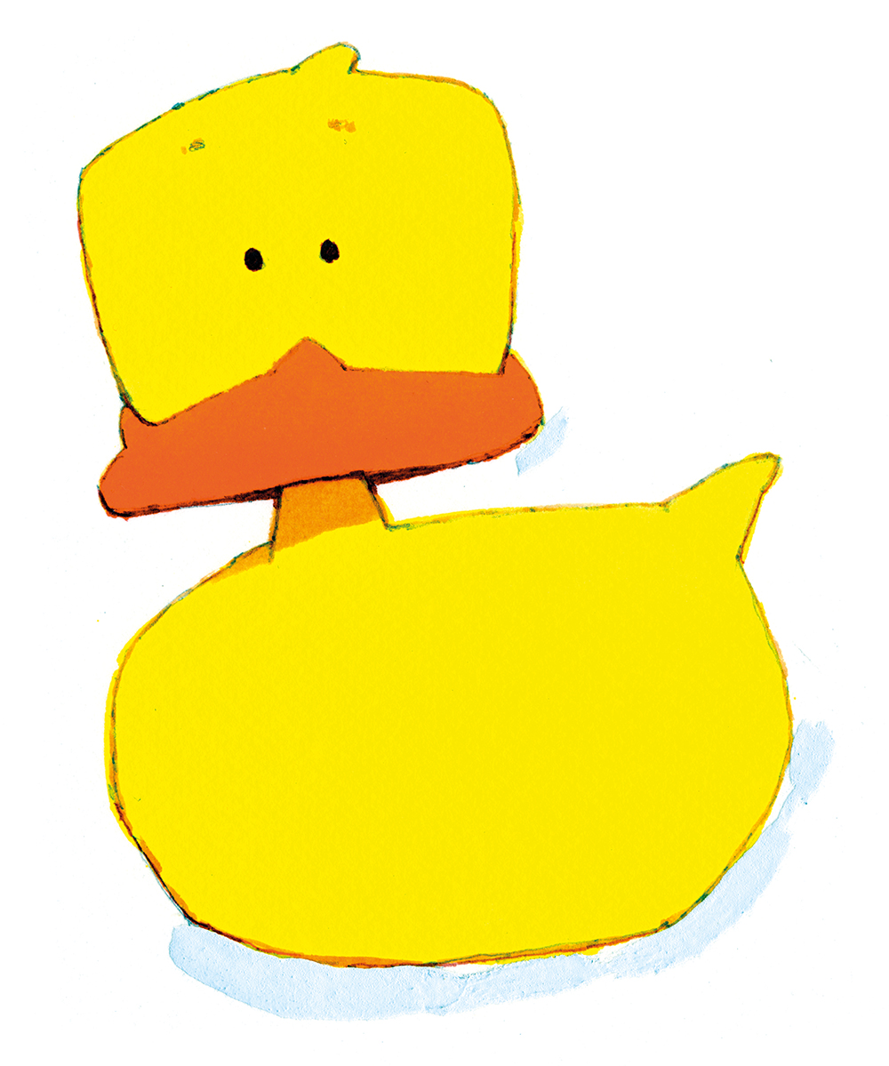 Find the little yellow duck on every page!