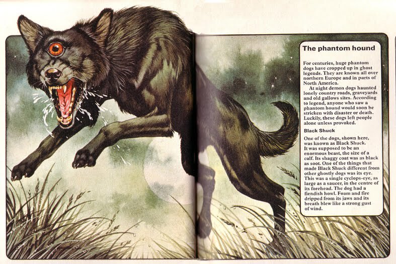 An illustration of a phantom hound with one eye.